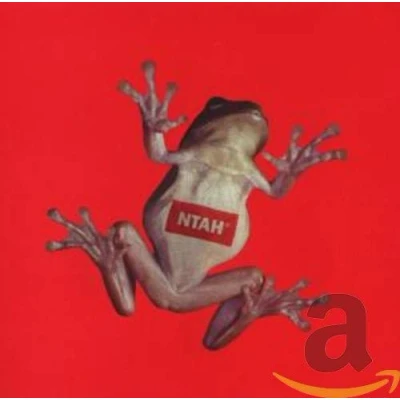 Afbeelding van Adrian Sherwood Never Trust A Hippy (CD)