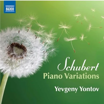 Afbeelding van Yevgeny Yontov Piano Variations (CD)