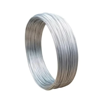Afbeelding van 1 STKS Lengte van 10M Roestvrij Staal Lente Draad Harde Touw Enkele Volledige Staaldraad Diameter 0.3 3MM (1MM)