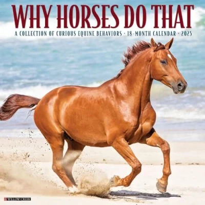 Afbeelding van Why Horses Do That 2025 12 X Wall Calendar