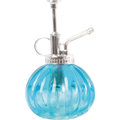 Afbeelding van Esschert Design plantenspuit/vernevelaar glas turquoise/zilver 15.5 cm Plantenspuiten