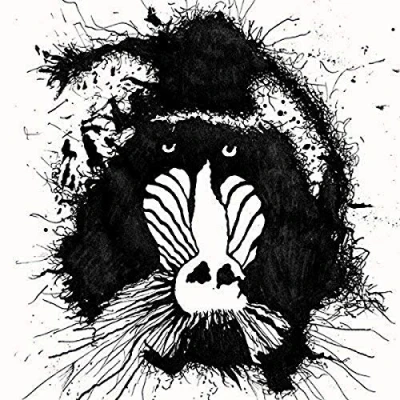 Afbeelding van Feral Ohms (LP)