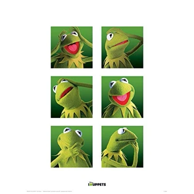 Afbeelding van Kunstdruk The Muppets Kermit Boxes 30x40cm