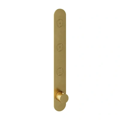 Afbeelding van HotBath Cobber PB050 afbouwdeel voor inbouwthermostaat met 3 pushbuttons geschikt verticale plaatsing Geborsteld Messing PVD