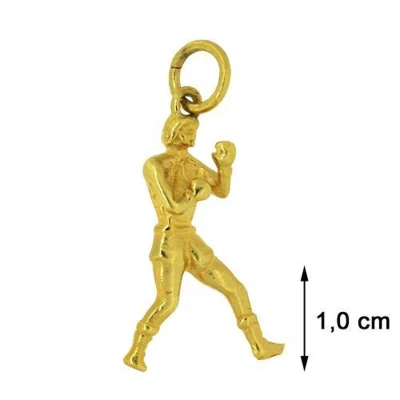 Afbeelding van Blinx Jewels Vergulden Hanger Bokser