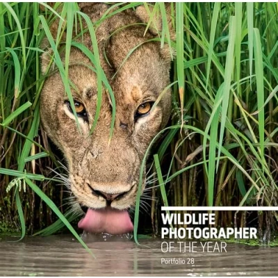 Afbeelding van Wildlife Photographer of the Year: Portfolio 28