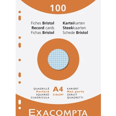 Afbeelding van etui 100 steekkaarten bristol geruit 5x5 geperforeerd 210x297mm, Geassorteerd