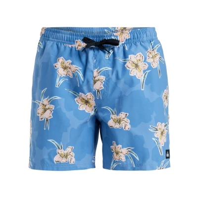 Afbeelding van Quiksilver Everyday Straight Zwemshorts, Heren, Maat: Large, Blq