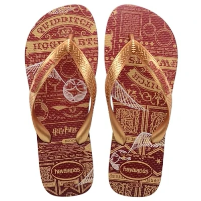 Afbeelding van Havaianas Top Harry Potter Flip Flop Unisex Volwassenen, Mahonie, 7.5/8 UK