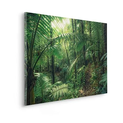 Afbeelding van Komar artprint op linnen Keilrahmenbild Jungleflair Größe 90 x 60 cm 90x60 (breedte hoogte), spieraam (1 stuk)