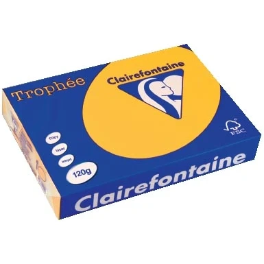 Afbeelding van Clairefontaine Trophée Intens, gekleurd papier, A4, 120 g, 250 vel, zonnebloemgeel papier