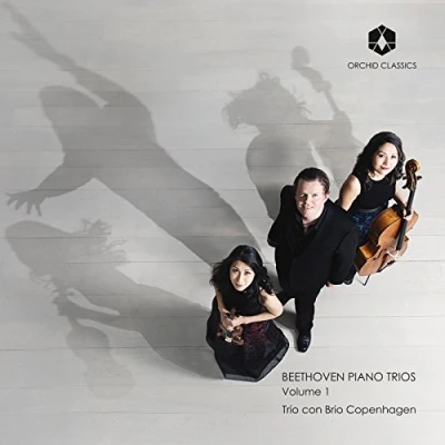 Afbeelding van Trio Con Brio Copenhagen Beethoven Piano Trios Volume I (CD)