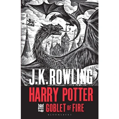 Afbeelding van Harry Potter and the goblet of fire: Adult Paperback Editions (2018 rejacket)
