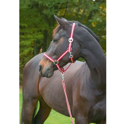 Afbeelding van Covalliero Nylonhalster Hippo Bordeaux/Beige Shetland