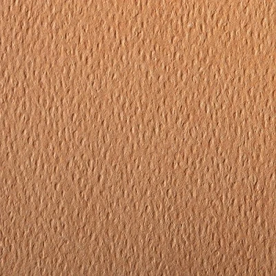 Afbeelding van Clairefontaine Ref 90887C Etival Gekleurd Graineerd Tekening Papier (Verpakking van 5 Vellen) A4 (29,7 x 21cm) 160gsm Cellulose Art Paper Zuurvrij, pH Neutraal