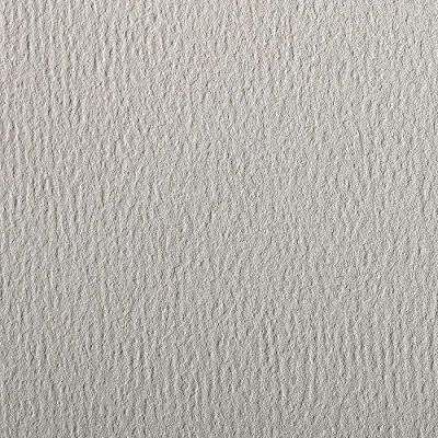 Afbeelding van Clairefontaine Ref 93881C Etival Gekleurd Graineerd Tekening Papier (Pack van 25 Vellen) A4 (29,7 x 21cm) 160gsm Cellulose Art Lichtgrijs Zuurvrij, pH Neutraal
