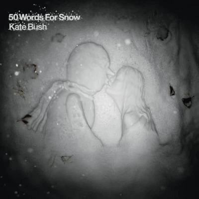 Afbeelding van Kate Bush 50 Words For Snow (2 LPs)