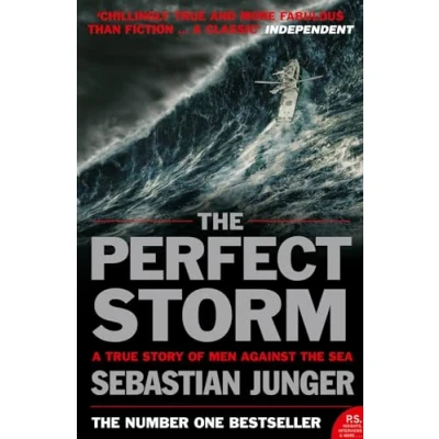 Afbeelding van the Perfect Storm: A True Story of Man Against Sea