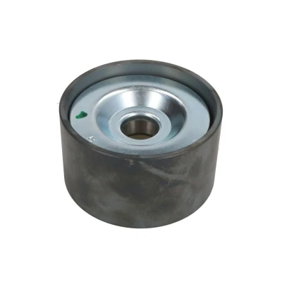 Afbeelding van Dayco Geleiderol (poly) V riem APV1152