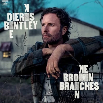 Afbeelding van Dierks Bentley Broken Branches (CD)