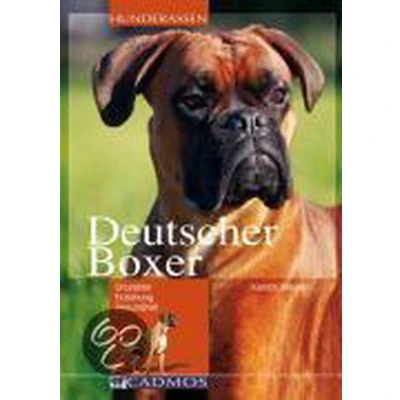Afbeelding van Deutscher Boxer