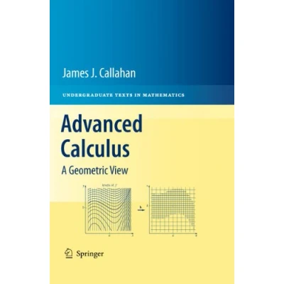 Afbeelding van Undergraduate Texts in Mathematics Advanced Calculus
