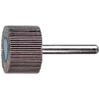 Afbeelding van PFERD 47802252 Lamellenschijf Diameter 30 mm 10 stuk(s)