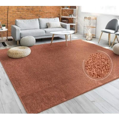 Afbeelding van Tapijt Vloerkleed Woonkamer Effen Eenvoudig En Modern Laagpolig, Versch. Afmetingen Kleuren, Maat:140x200 cm, Kleur:Koper