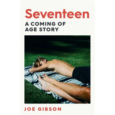 Afbeelding van Seventeen: The shocking true story of a teacher&#039;s affair with her student
