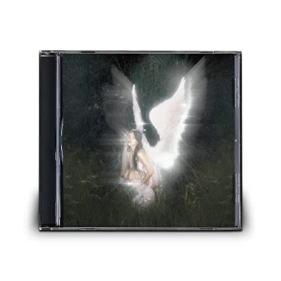 Afbeelding van Young Forever (National Album Day 2022)