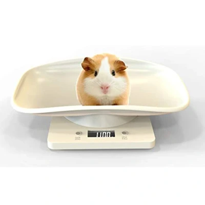 Afbeelding van Aceshop Digitale Dierenweegschaal, Weegschaal Voor Huisdieren Mini voedselweegschaal Met Lcd scherm, 4 Weegmodi (oz / Ml Lb G) En Keuken Meten Van Kleine Katten, Honden, Voedsel, Capaciteit Tot 10 Kg 22lb