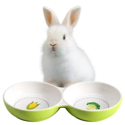 Afbeelding van Navaris dubbele voerbak voor kleine dieren Keramische voerbakjes je muis konijn hamster of cavia Waterschaal Groen met groentedesign