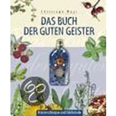Afbeelding van Das Buch der guten Geister