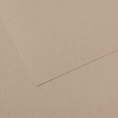 Afbeelding van Canson Mi Teintes gekleurd papier, 160 g/m², grijs (flanel grey 122), 29,7 x 47, 10 stuks