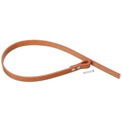 Afbeelding van Hazet 2170/2 Band en klinknagel voor 2170