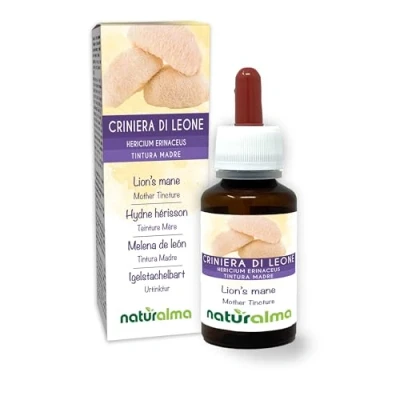Afbeelding van Pruikzwam of Apekop (Hericium erinaceus) paddenstoel Alcoholvrije moedertinctuur Naturalma Vloeibaar extract druppels 60 ml Voedingssupplement Veganistisch