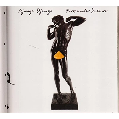 Afbeelding van Django Born Under Saturn