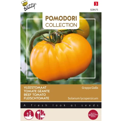 Afbeelding van Pomodori Vleestomaat Brandywine Yellow