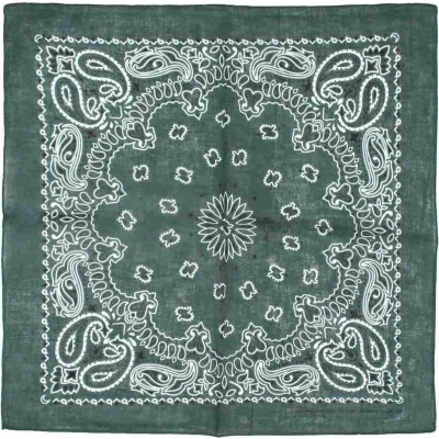 Afbeelding van Zac&#039;s Alter Ego Bottle Green alternative paisley Bandana Groen