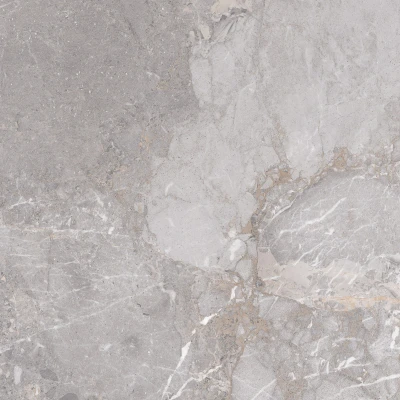 Afbeelding van Golden Age Grey 60x60 rett Grijs Vloertegel badkamer Wandtegel