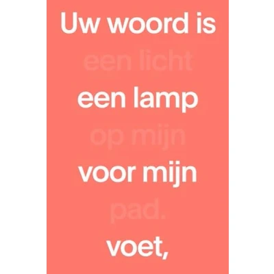 Afbeelding van NBV21 Midsize Paperback (Paperback)
