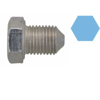 Afbeelding van Corteco Olie aftapplug / carterplug 220124S