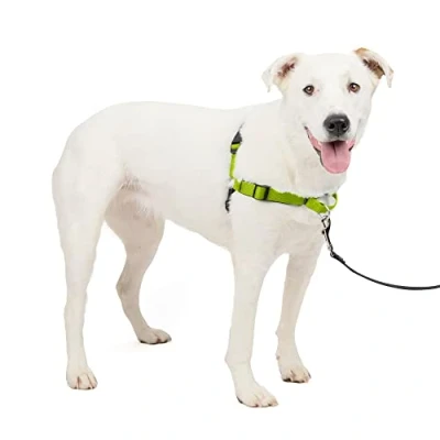 Afbeelding van PetSafe Deluxe Easy Walk Hondentuig Martingale lus met D ring stopt trekken Trainings en gedragshulp Reflectiviteit verbetert de zichtbaarheid bij weinig licht comfortabele vulling