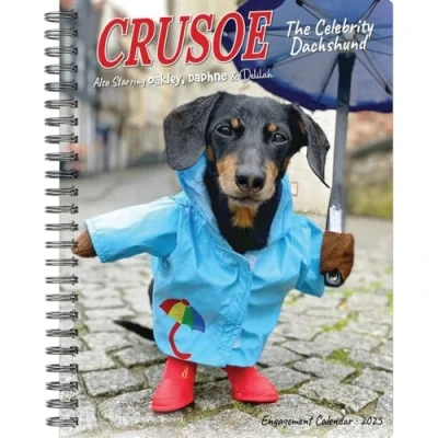 Afbeelding van Crusoe the Celebrity Dachshund 2025 6.5 X 8.5 Engagement Calendar