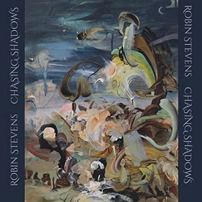 Afbeelding van Various Artists Stevens: Chasing Shadows (CD)