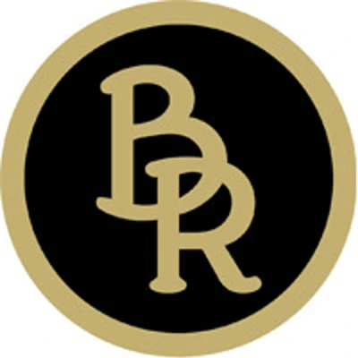 Afbeelding van BR Dubbel Gebroken Baby Pelhambit Soft Contact 14 mm Scharen 102 12,5 Zilver/goud Geel