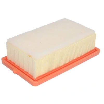 Afbeelding van Luchtfilter MANN FILTER C 24 250