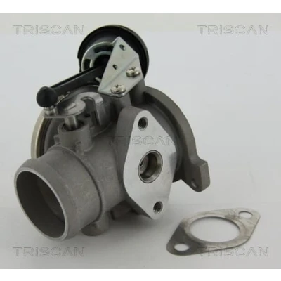 Afbeelding van Triscan EGR klep 8813 29022