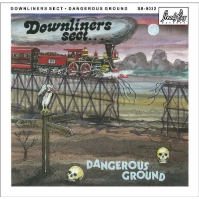 Afbeelding van Downliners Sect Dangerous Ground (LP)