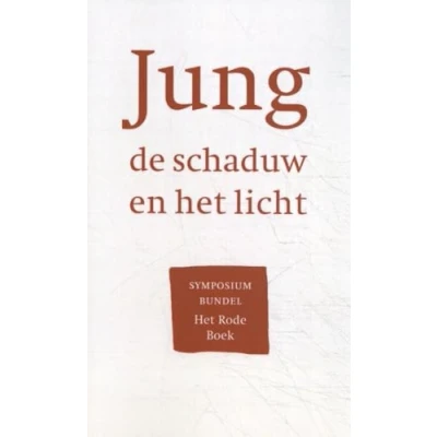 Afbeelding van Jung, de schaduw en het licht (Paperback)